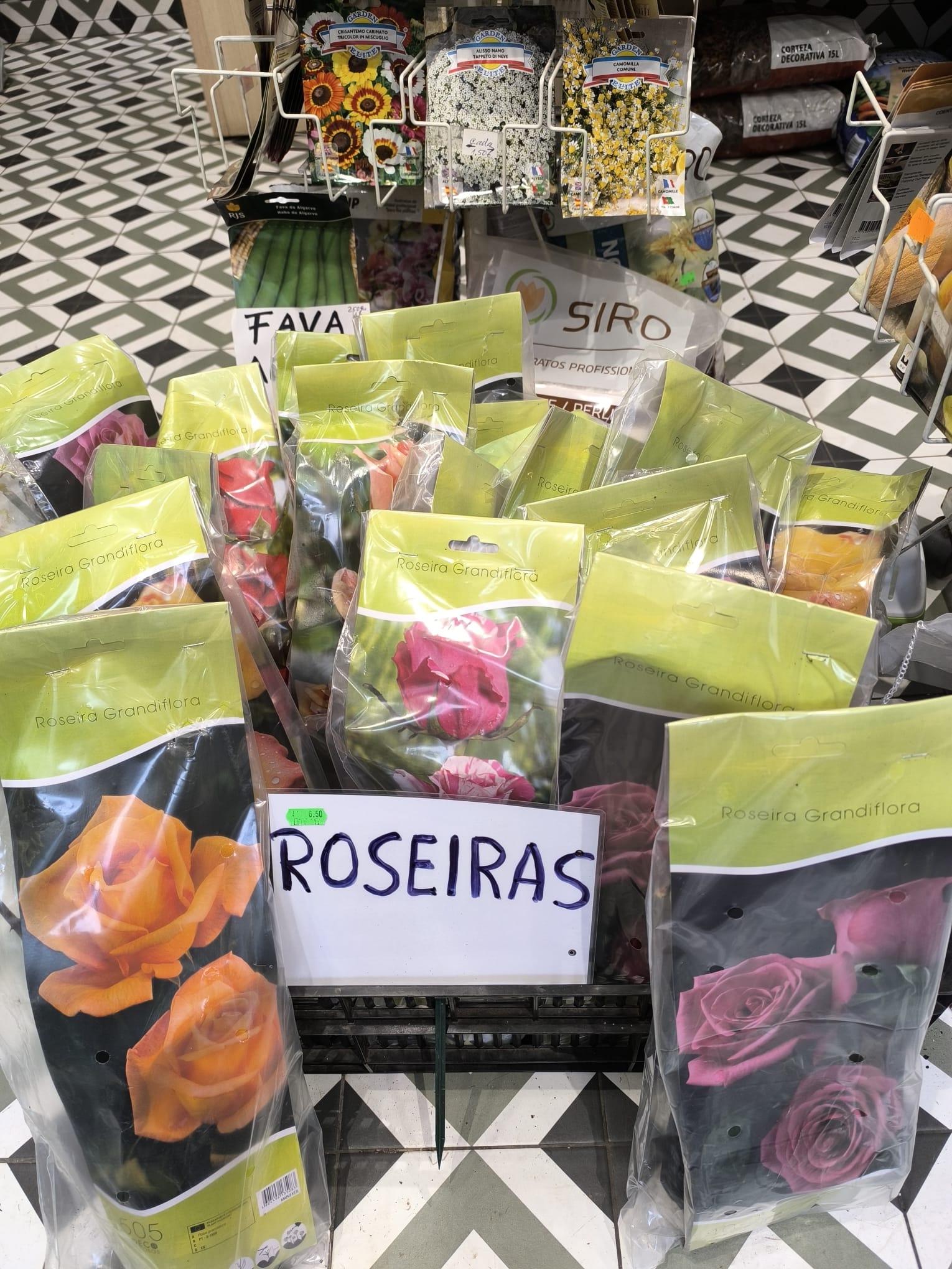 Roseiras Grandiflora (Mudas Embaladas)